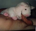 piggy plush