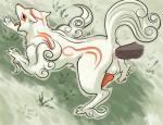 Male Okami?