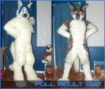 fursuit genitelia