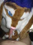 blowjobs by fursuits